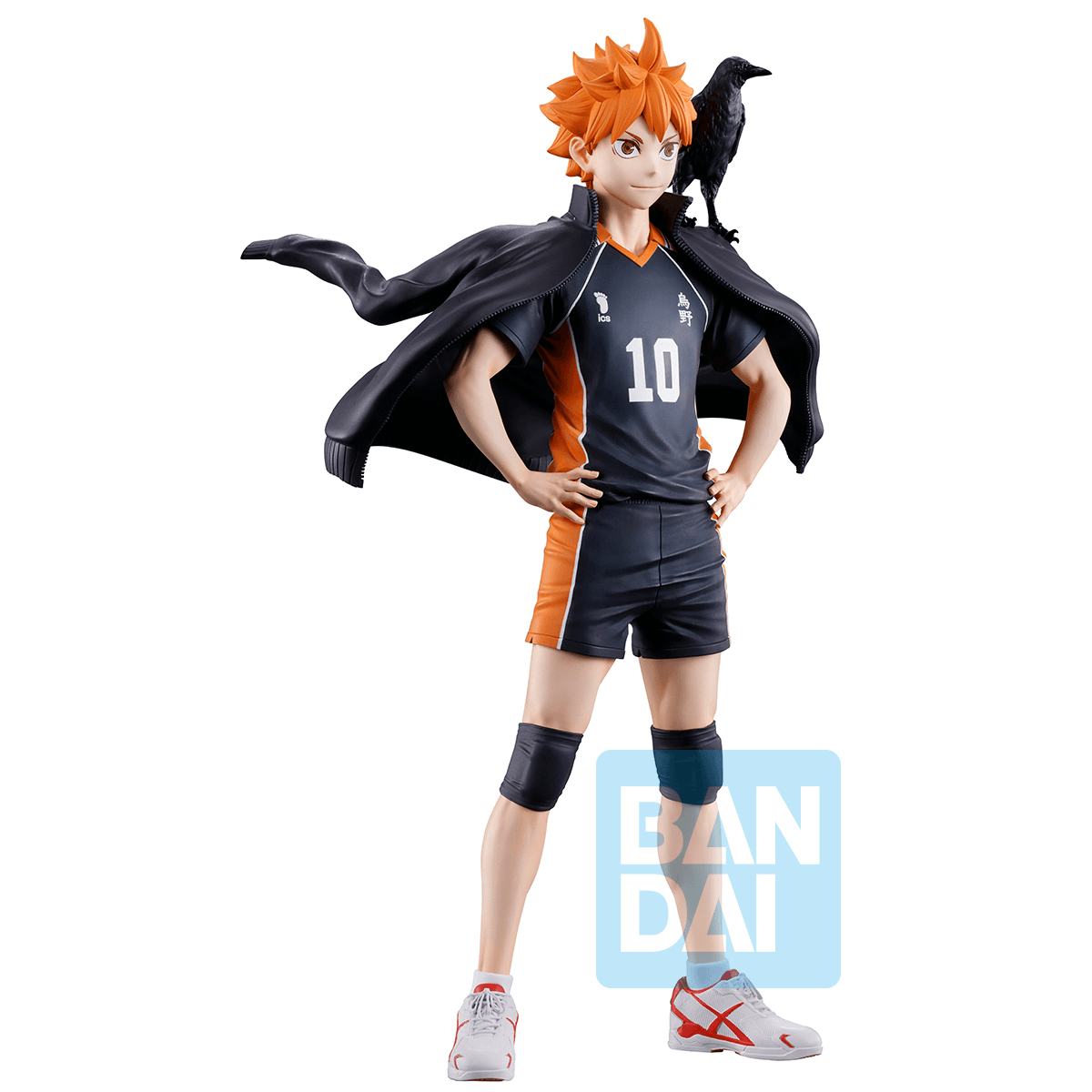 Shoyo Hinata (The Future of Karasuno) | 4573102724557