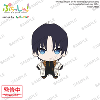 Puchish! Rurouni Kenshin: Meiji Kenkaku Romantan - Kyoto Douran Aoshi Shinomori | 4570194414748
