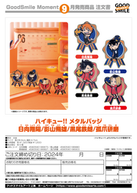 Haikyu Metal Badge Shoyo Hinata | 4580590186873