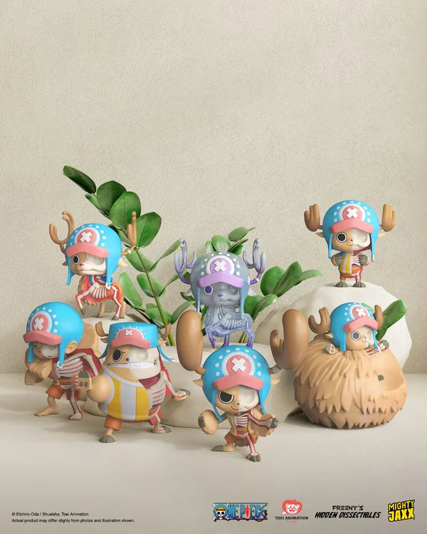 Hidden Dissectibles: One Piece Series 3  (6pc per box) | 0641489938820