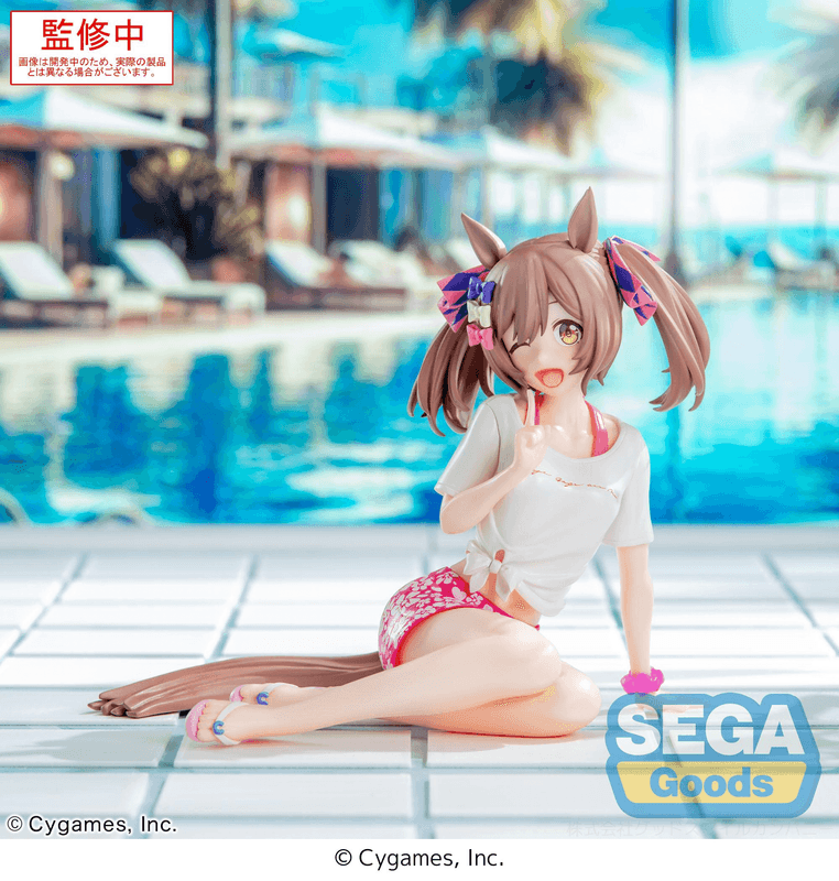 SEGA Yumemirize Umamusume: Pretty Derby Smart Falcon -Gaze on Me!- | 4582733450612
