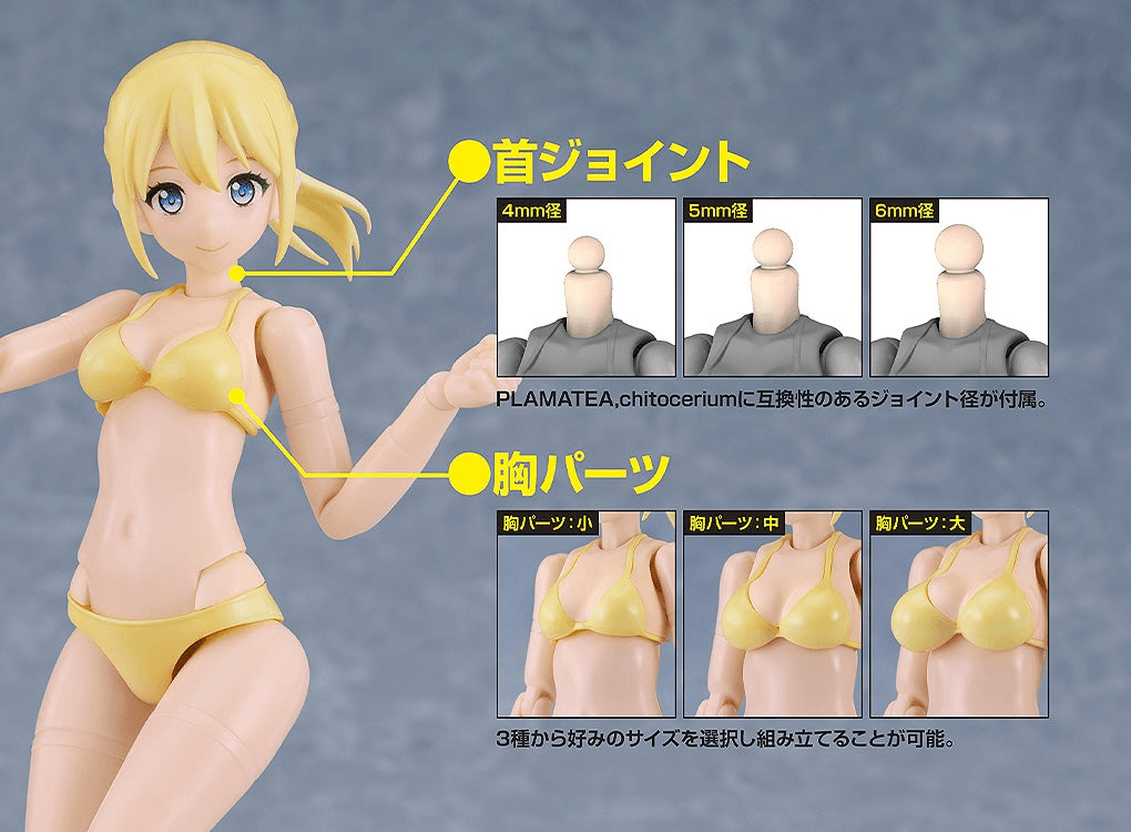 PLAMATEA Muse Body: Ichika - Bikini Ver. B Type | 4580828672048