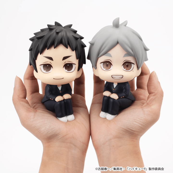 Lookup Haikyu!! Daichi Sawamura & Koushi Sugawara set 【with gift】 | 4535123851025