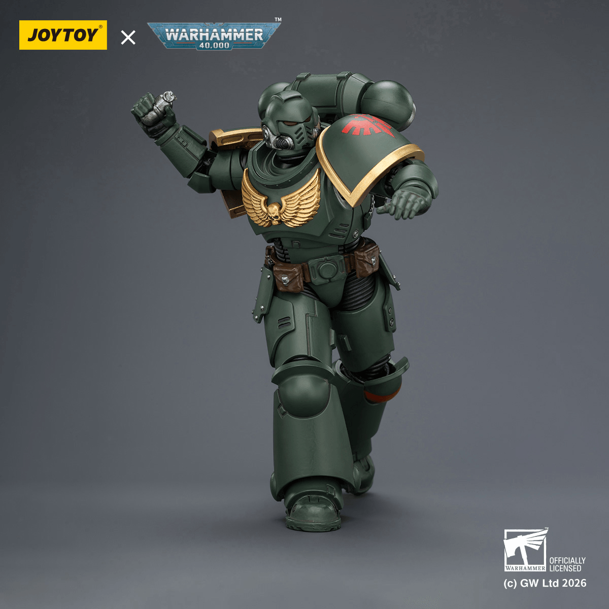 Dark Angels Intercessor with Bolt Rifle, Bolt Pistol and Chainsword | 6927054403868