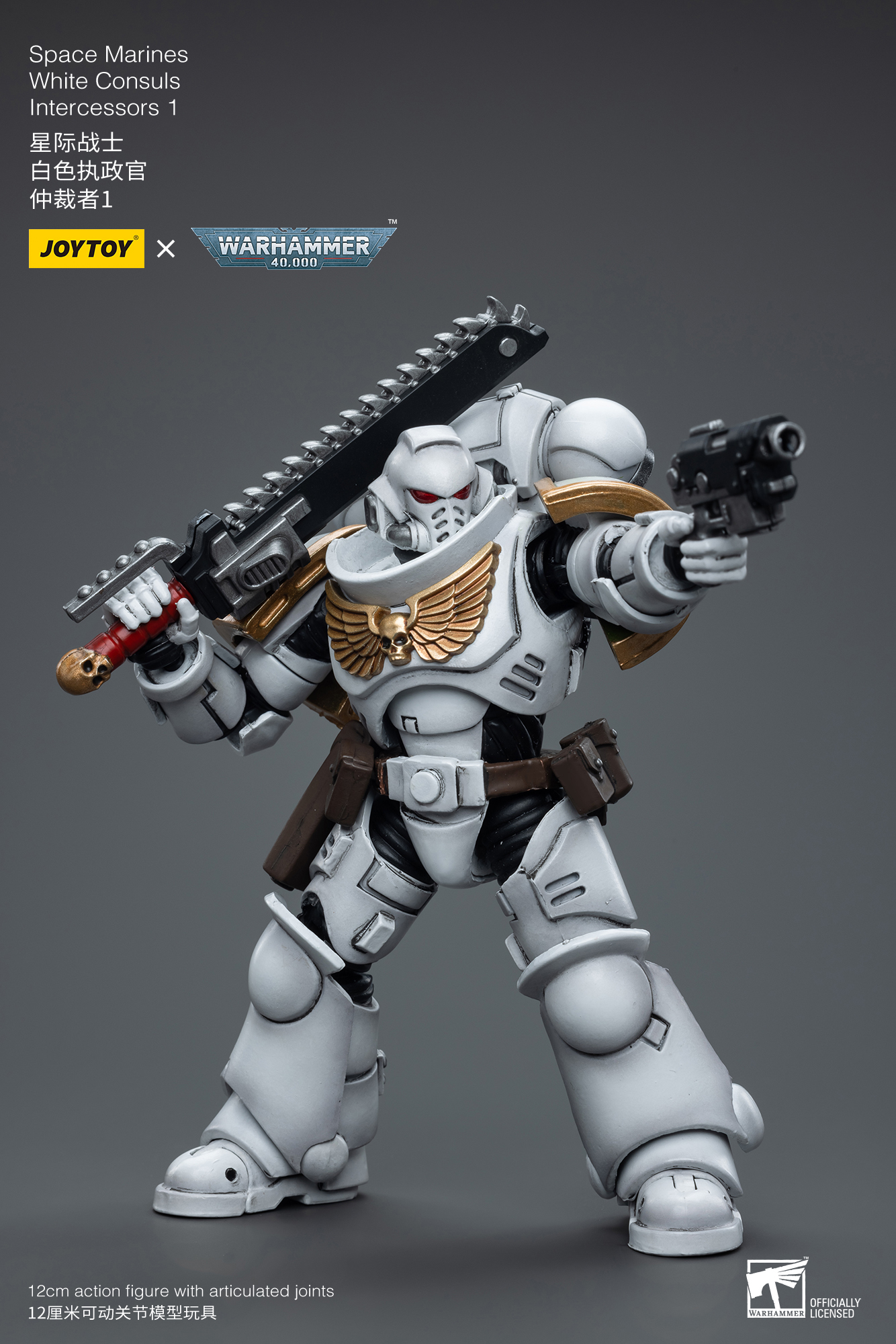 Joy Toy Space Marines White Consuls Intercessors 1(6973130376847)