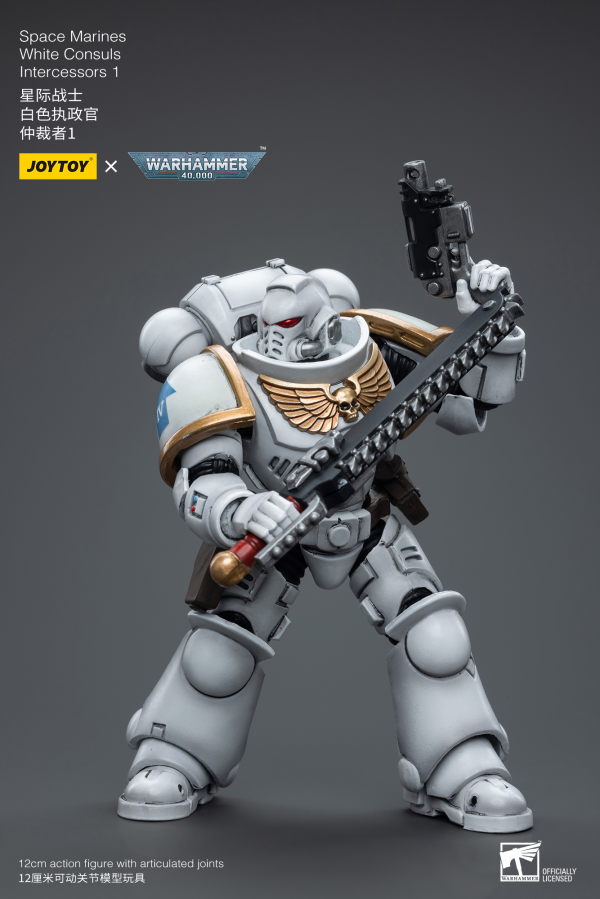 Joy Toy Space Marines White Consuls Intercessors 1(6973130376847)(6973130376847)