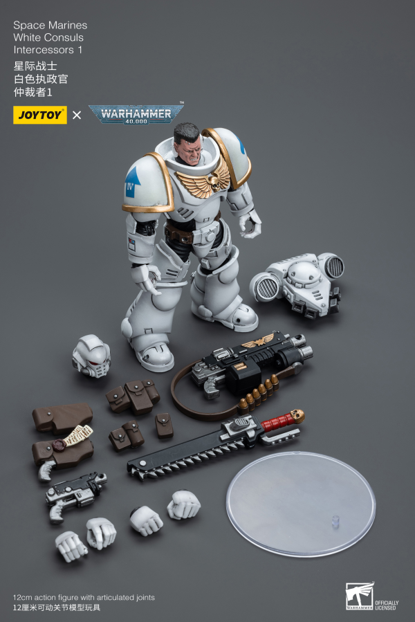 Joy Toy Space Marines White Consuls Intercessors 1(6973130376847)(6973130376847)