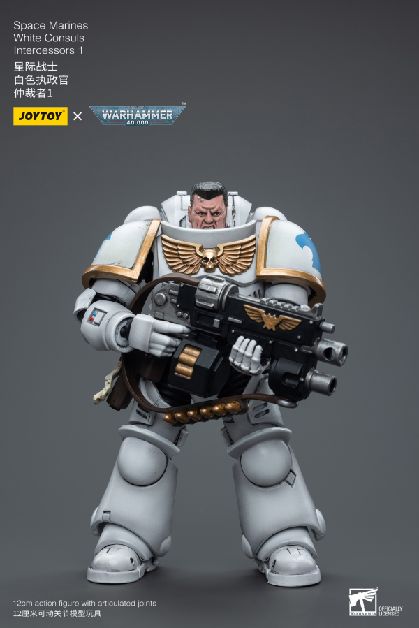 Joy Toy Space Marines White Consuls Intercessors 1(6973130376847)(6973130376847)