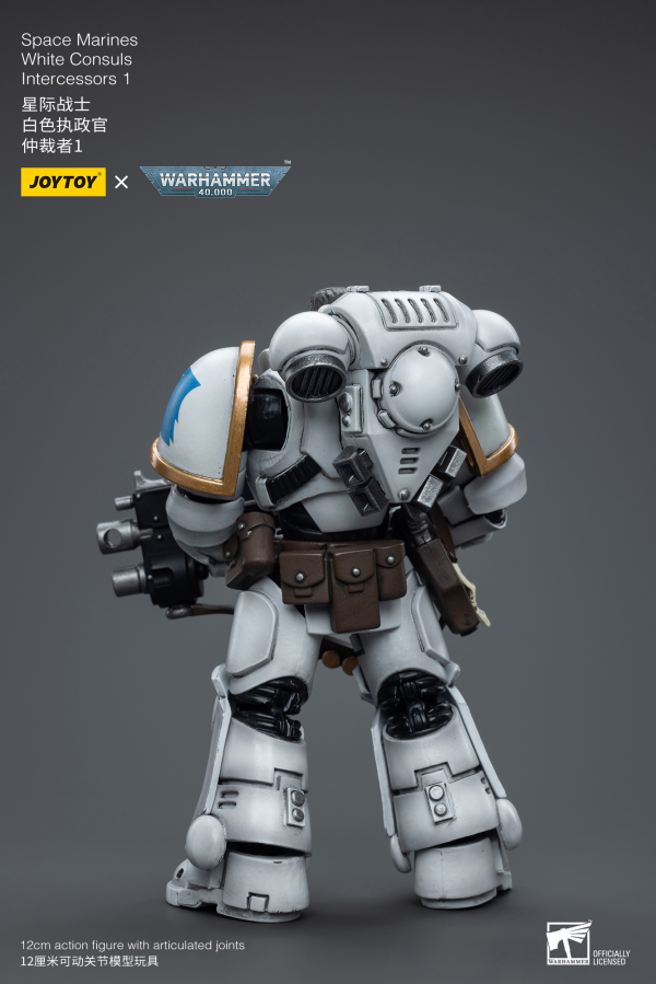 Joy Toy Space Marines White Consuls Intercessors 1(6973130376847)(6973130376847)