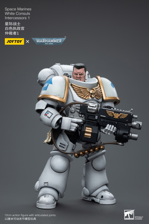 Joy Toy Space Marines White Consuls Intercessors 1(6973130376847)(6973130376847)