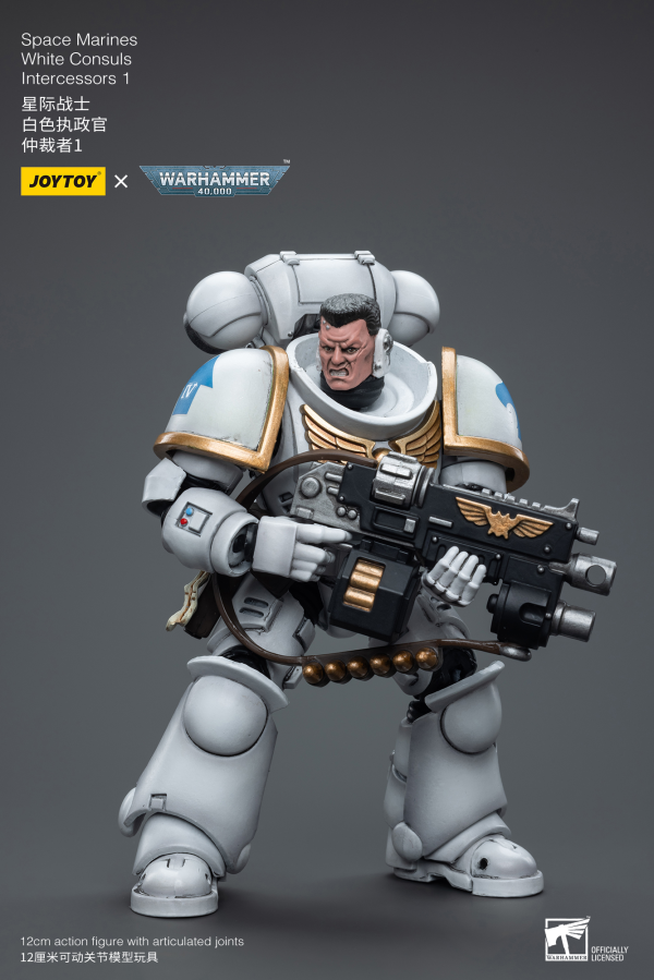 Joy Toy Space Marines White Consuls Intercessors 1(6973130376847)(6973130376847)