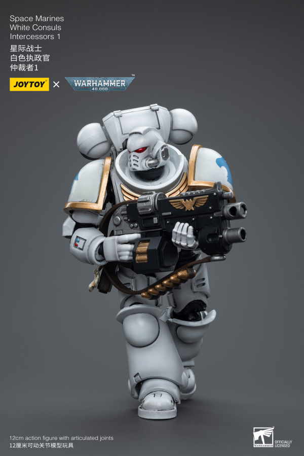 Joy Toy Space Marines White Consuls Intercessors 1(6973130376847)(6973130376847)