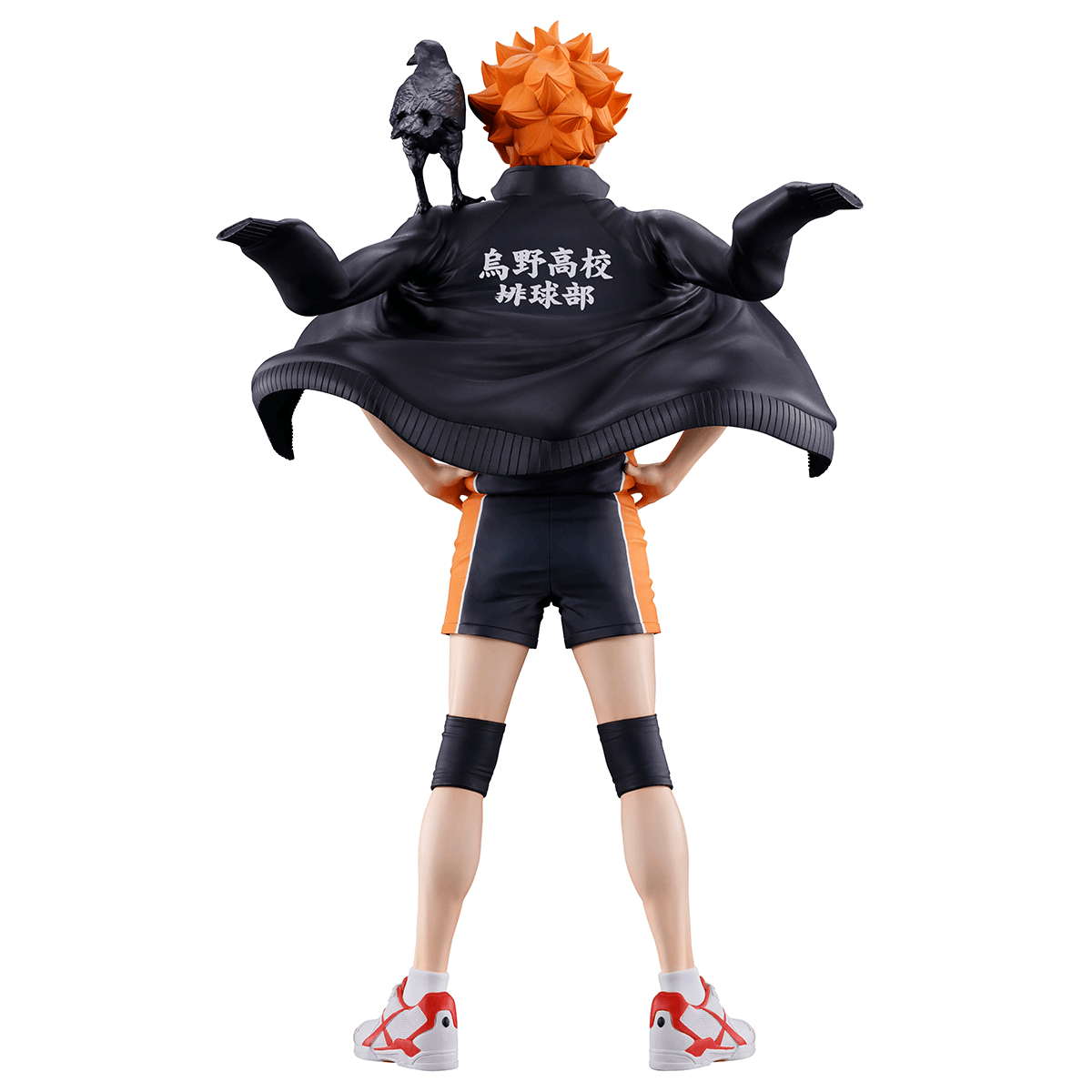 Shoyo Hinata (The Future of Karasuno) | 4573102724557
