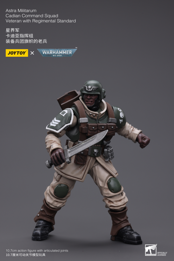 Joy Toy Astra Militarum Cadian Command Squad Veteran with Regimental Standard(6973130377929)(6973130377929)
