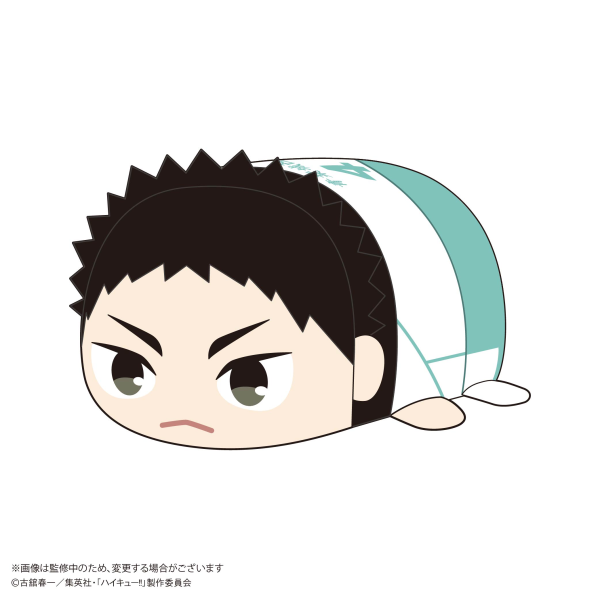 Haikyu POTE KORO MASCOT Msize (ITEM E) | 4580683626835