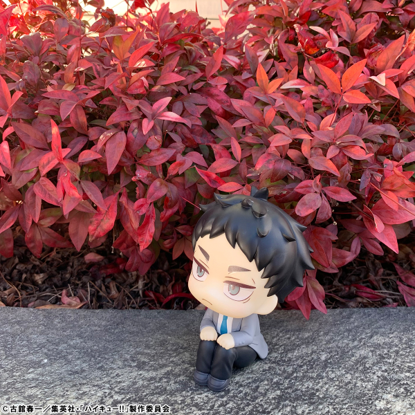MegaHouse Lookup Haikyu!! Keiji Akaashi(4535123838842)(4535123838842)