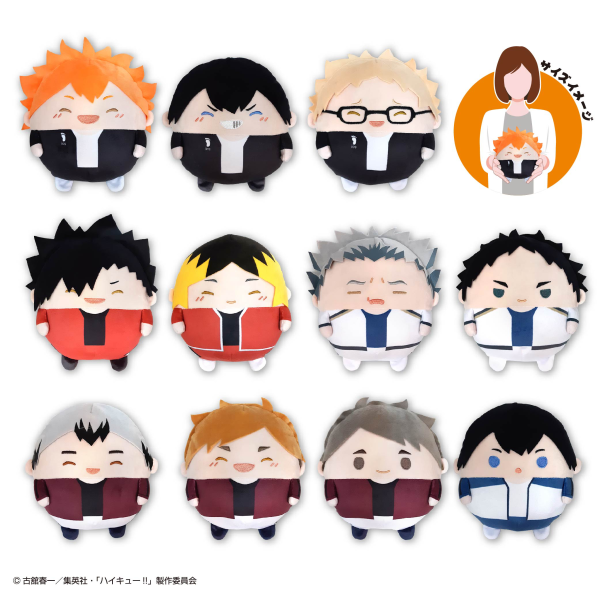 Haikyu FUWA KORORIN M SIZE SPECIAL (C) | 4580683621847