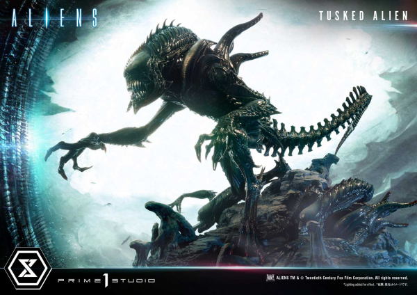 Prime 1 Studio Premium Masterline Aliens (Comics) Tusked Alien Bonus Version(4580708036014)(4580708036014)