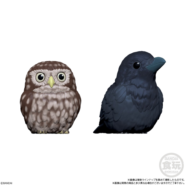 BANDAI Tenori Friends 4 Birds  (Box/12), Bandai Shokugan Tenori Friends(4549660628286)(4549660628286)