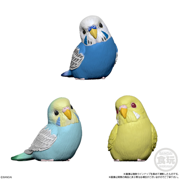 BANDAI Tenori Friends 4 Birds  (Box/12), Bandai Shokugan Tenori Friends(4549660628286)(4549660628286)