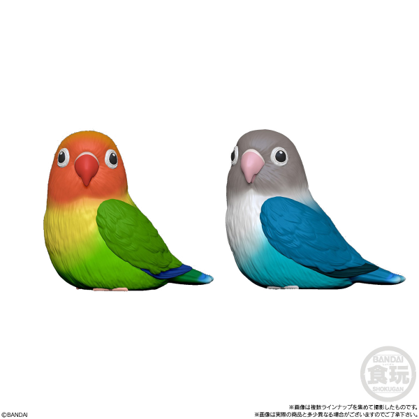 BANDAI Tenori Friends 4 Birds  (Box/12), Bandai Shokugan Tenori Friends(4549660628286)(4549660628286)