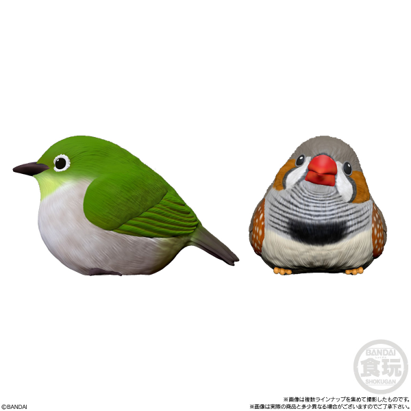 BANDAI Tenori Friends 4 Birds  (Box/12), Bandai Shokugan Tenori Friends(4549660628286)(4549660628286)