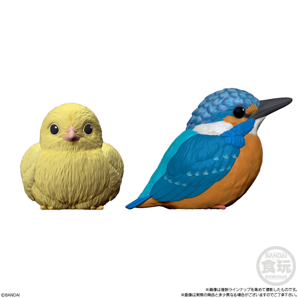BANDAI Tenori Friends 4 Birds  (Box/12), Bandai Shokugan Tenori Friends(4549660628286)(4549660628286)