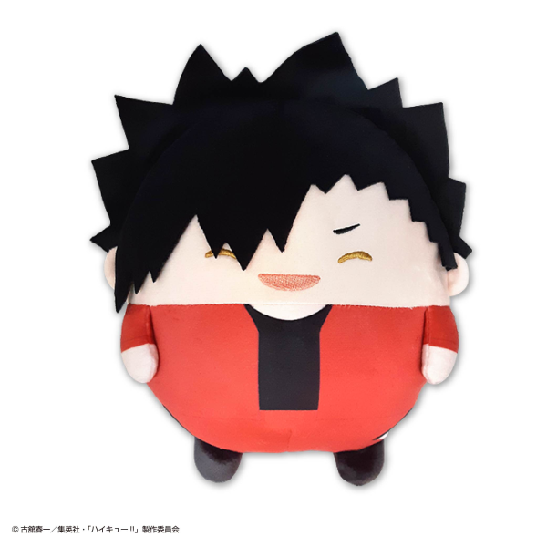 Haikyu FUWA KORORIN M SIZE SPECIAL (D) | 4580683621854