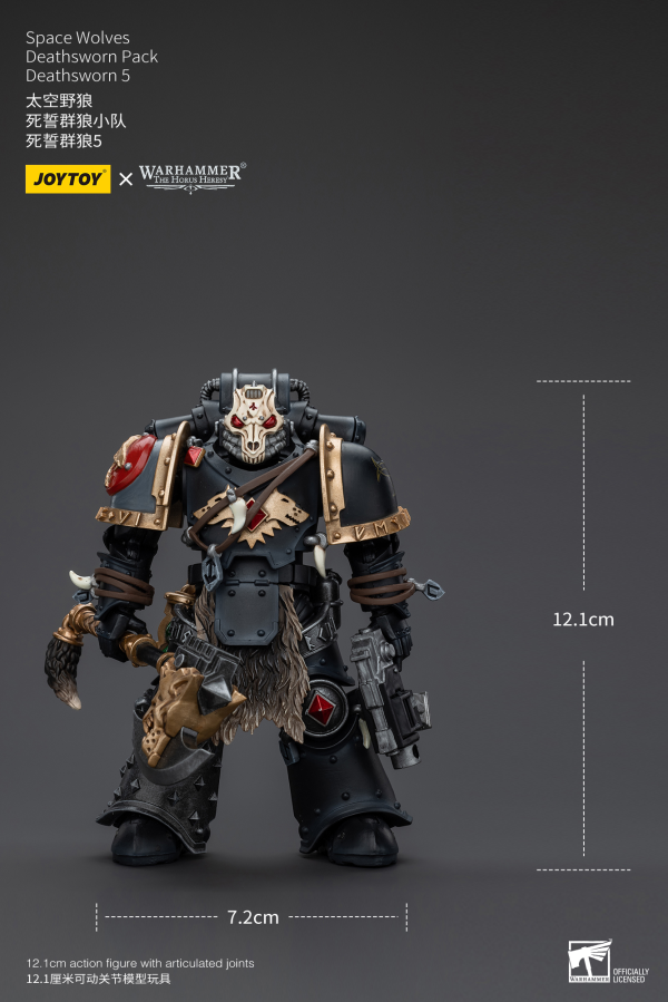 Joy Toy Space Wolves Deathsworn Pack Deathsworn 5