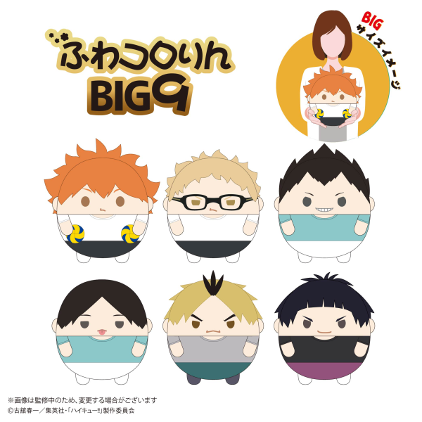 Haikyu FUWA KORORIN BIG 9  (ITEM C) | 4580683626736