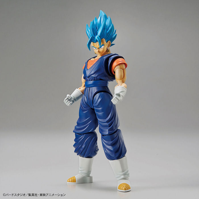 BANDAI Hobby Figure-rise Standard SUPER SAIYAN GOD SUPER SAIYAN VEGETTO(4573102555915)