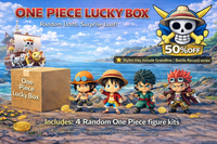 One Piece Kits LUCKY BOX