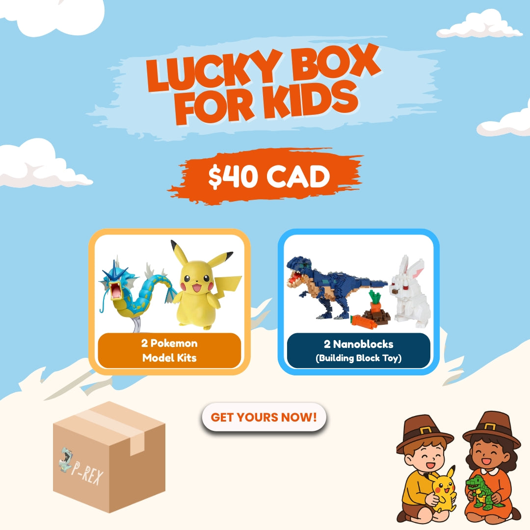Kids Lucky Box (Pokemon-Nanoblock)