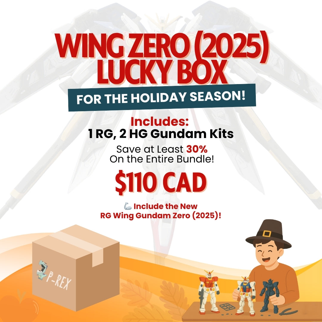 1 RG WING ZERO+ 2 HG LUCKY BOX