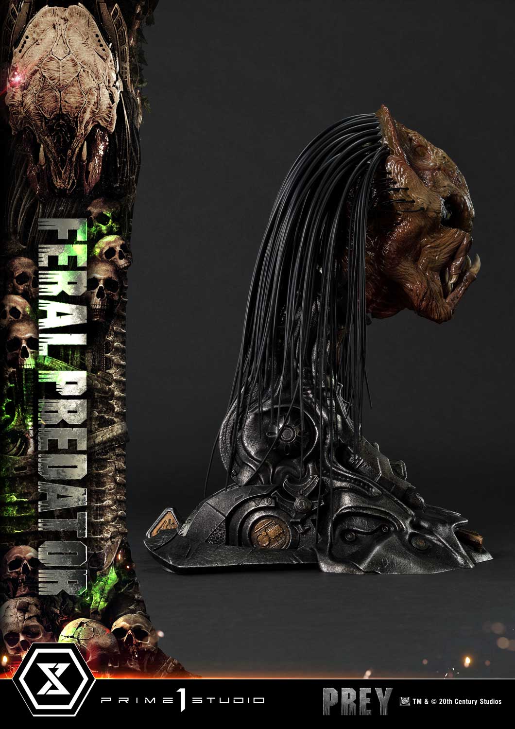 Museum Masterline Prey Feral Predator