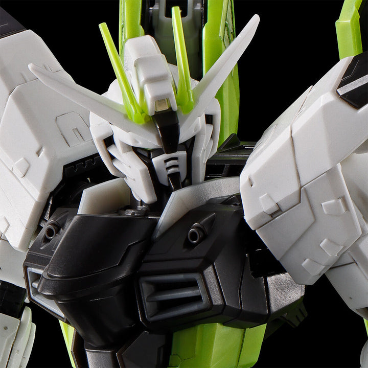 P-Bandai RG 1/144 Freedom Gundam -Apex Legendstm Crypto Ver.-