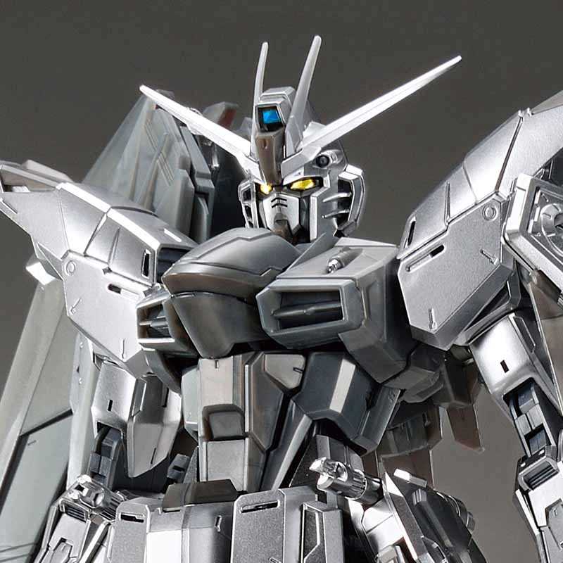 P-Bandai MG 1/100 The Gundam Base Limited Freedom Gundam Ver.2.0 [Silver Coating]