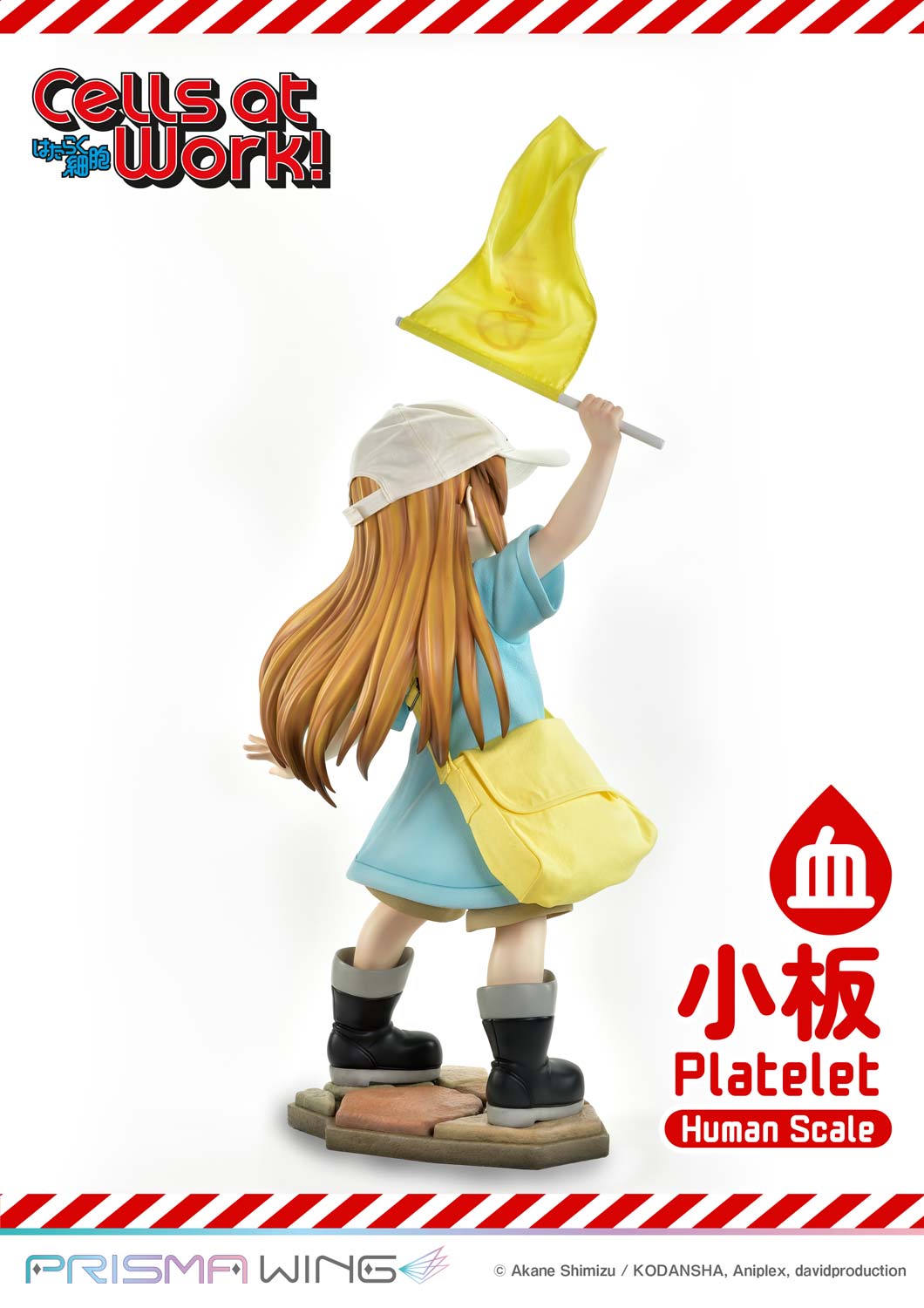 Life Scale Masterline Cells at Work Platelet