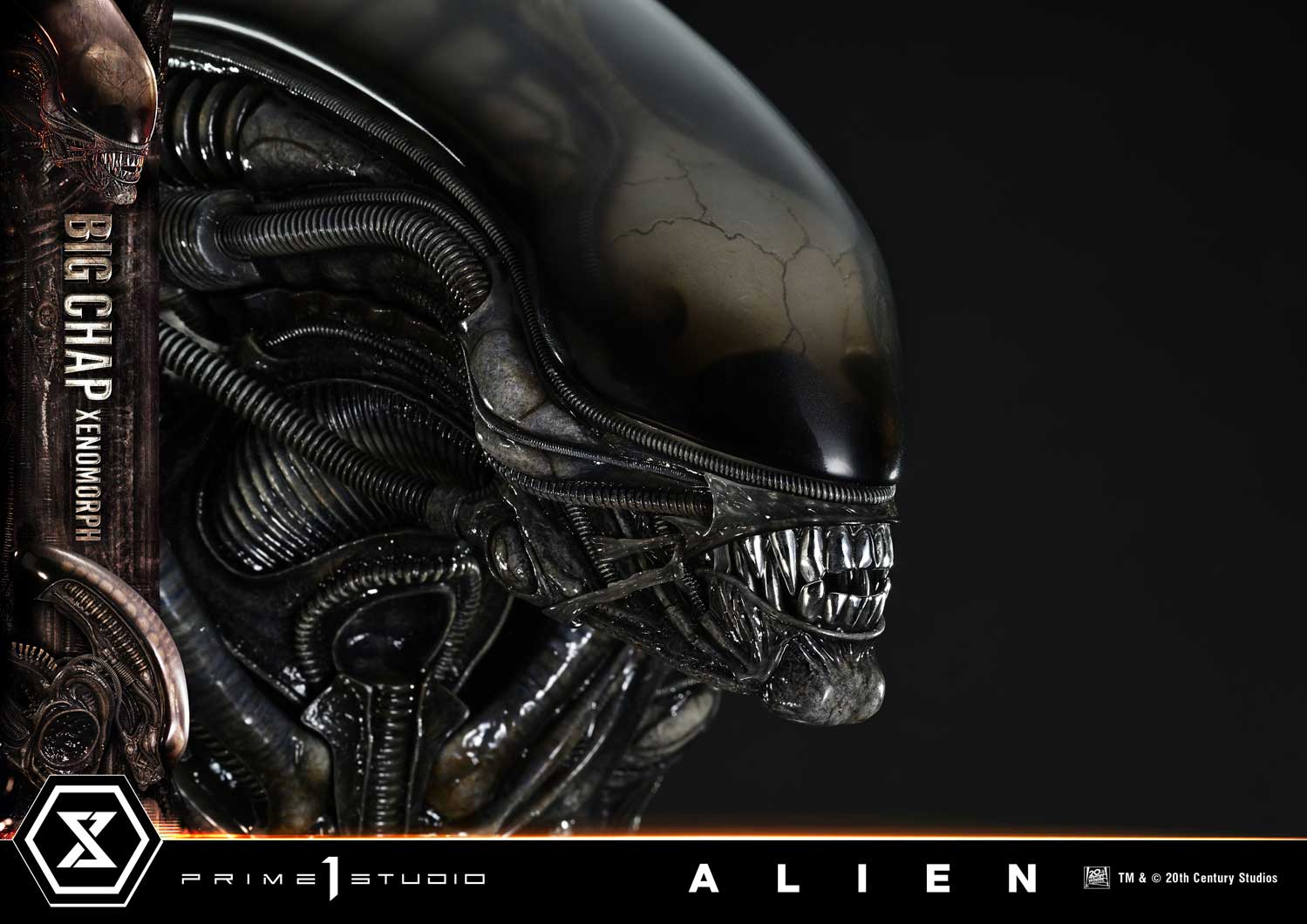 (PRE-ORDER) Museum Masterline XL Alien (Film) Big Chap Xenomorph Regular Ver.