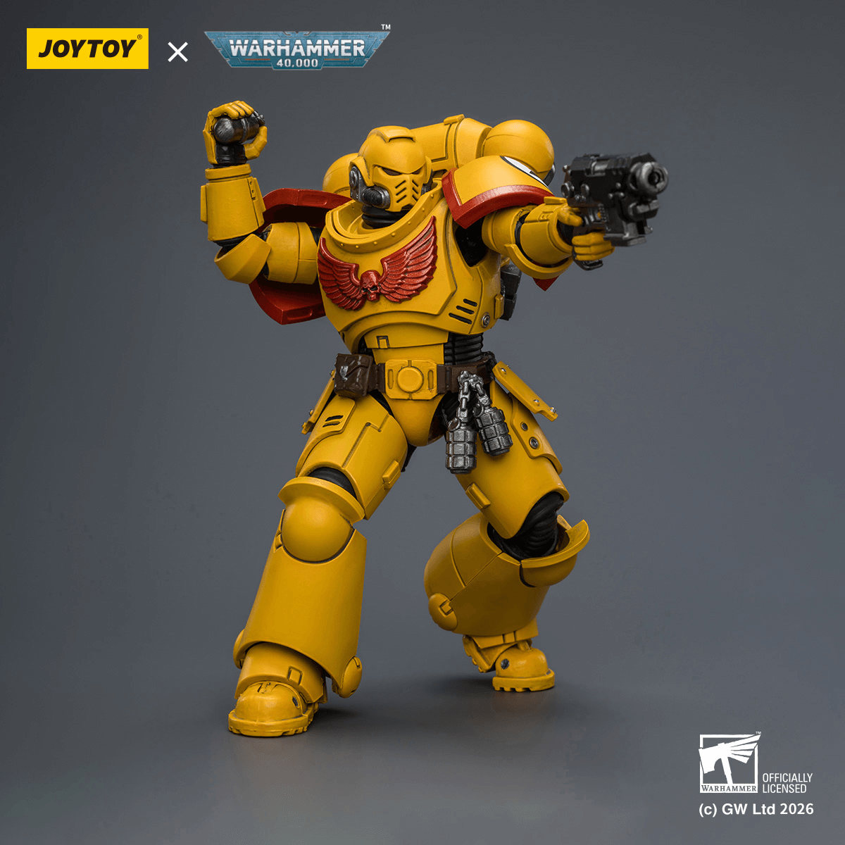 Imperial Fists Intercessor with Bolt Rifle, Bolt Pistol and Chainsword | 6927054403844