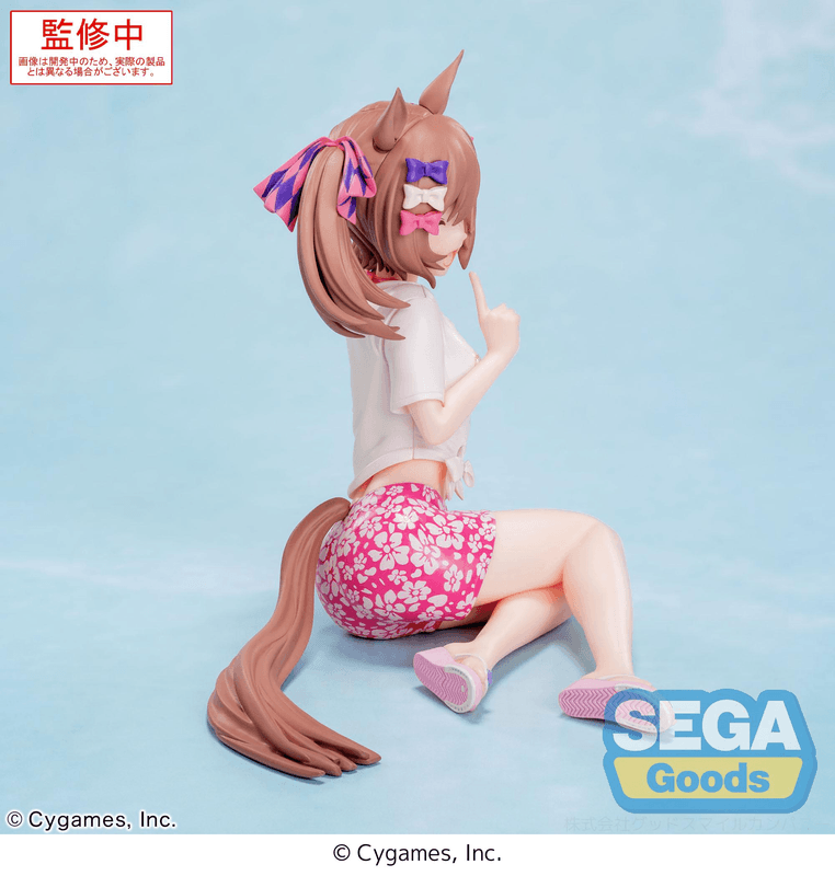SEGA Yumemirize Umamusume: Pretty Derby Smart Falcon -Gaze on Me!- | 4582733450612