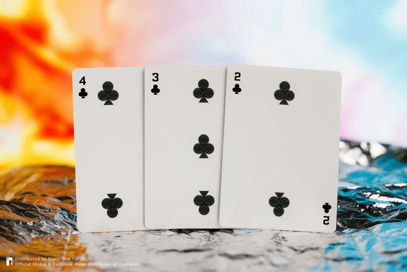 Street Fighter Playing Cards - Collectors Edition