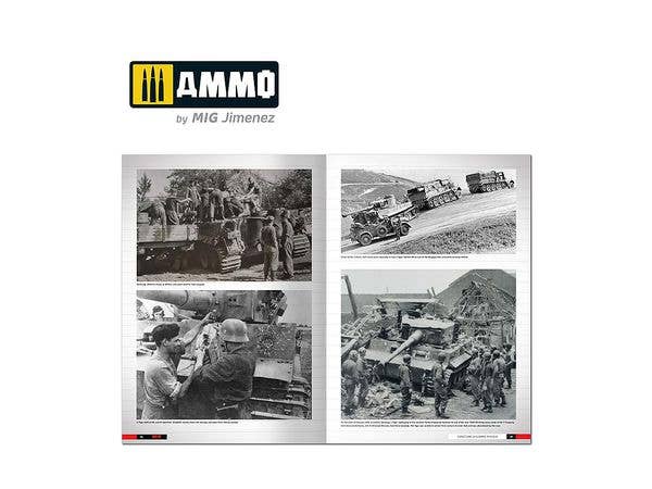 Ammo Mig Tigers: Modeling the Ryefield Family (English) | 8432074062738