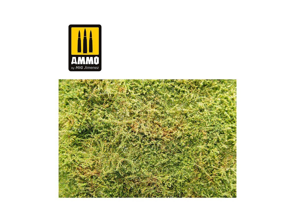 Ammo Mig Wilderness Fields with Bushes - Spring | 8432074083627