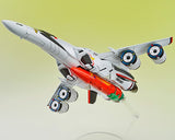 Macross F - Ranka Lee - Aoshima Character Kit Selection (MC-09), V.F.G.(Aoshima)