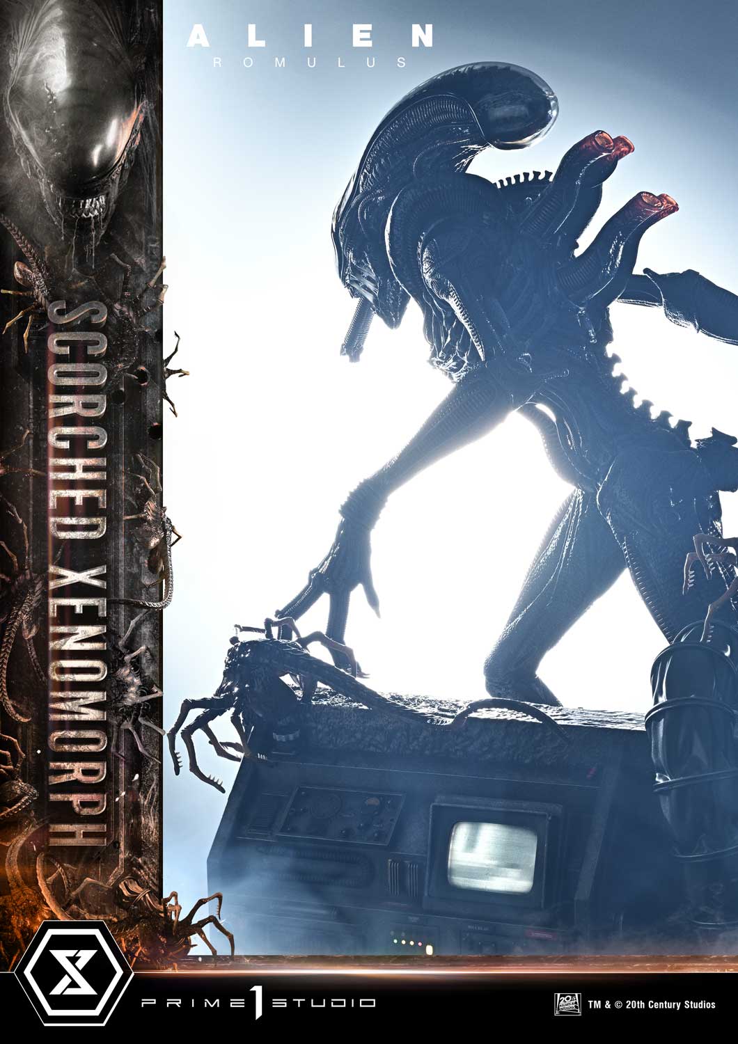 Museum Masterline XL Alien: Romulus Scorched Xenomorph Deluxe Version