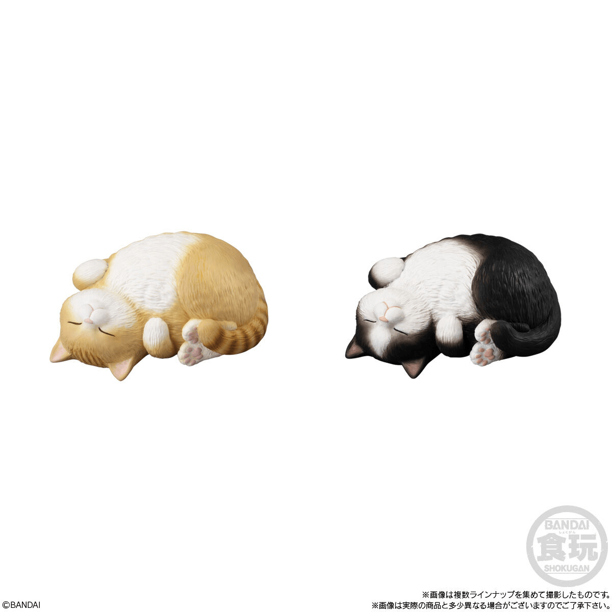 Mocchiri Kororin Cats (Open Box/12)