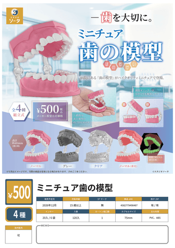 Miniature Tooth Models (Box of 4)