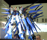 BANDAI Hobby PG Strike Freedom Gundam
