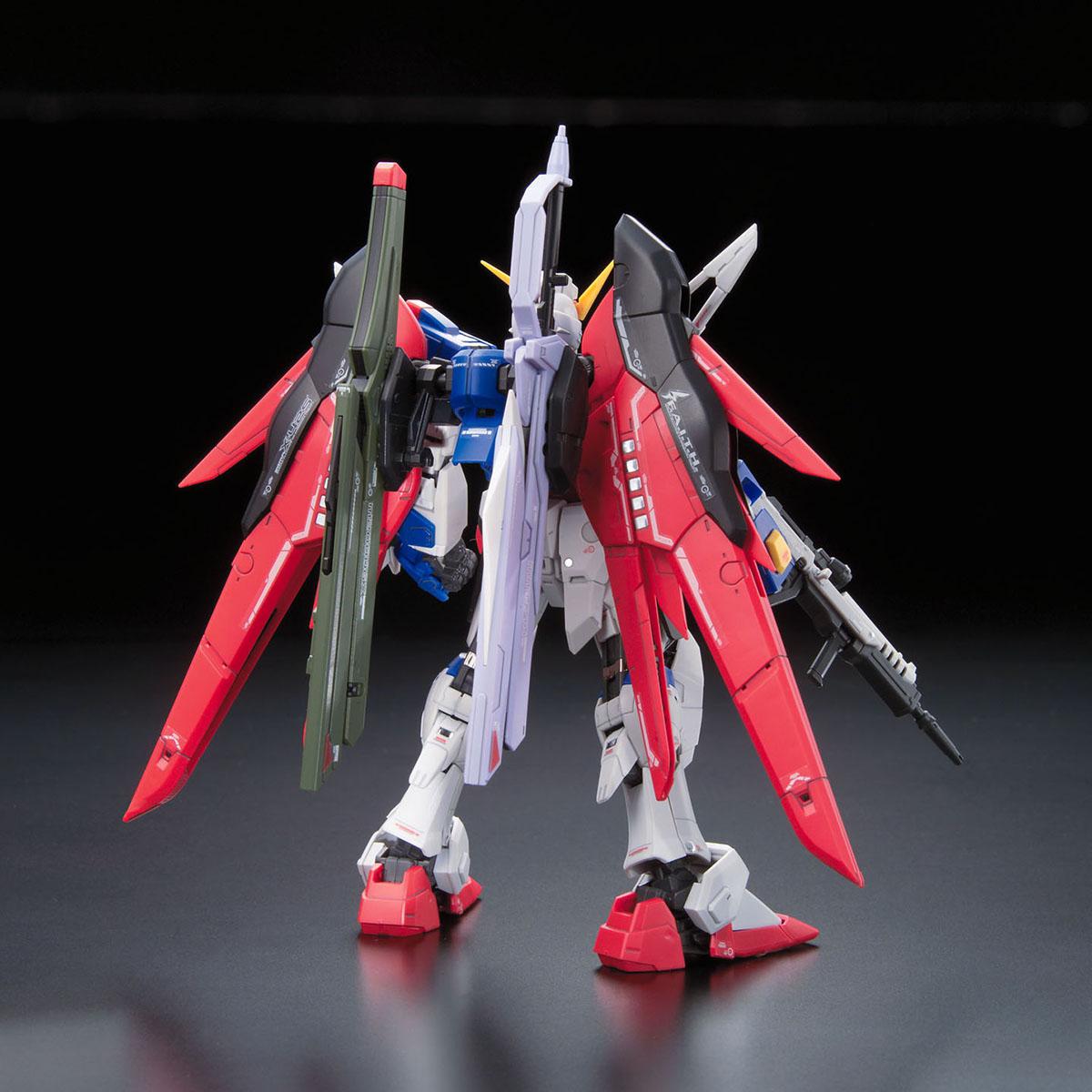 RG 1/144 #11 Destiny Gundam | 4573102616166